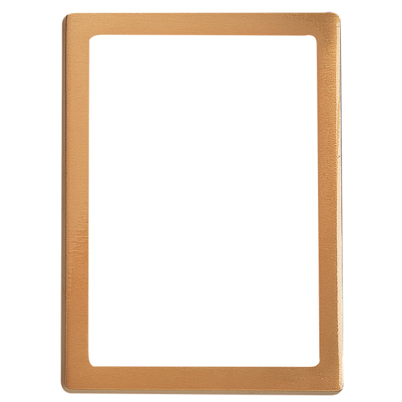 Bronze Frame |30-361